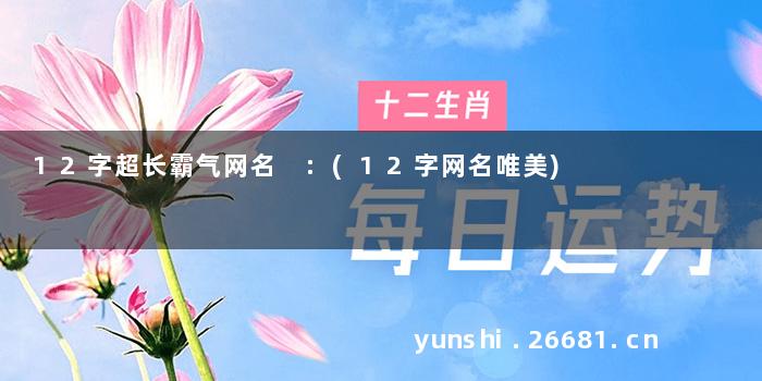 12字超长霸气网名 :(12字网名唯美)
